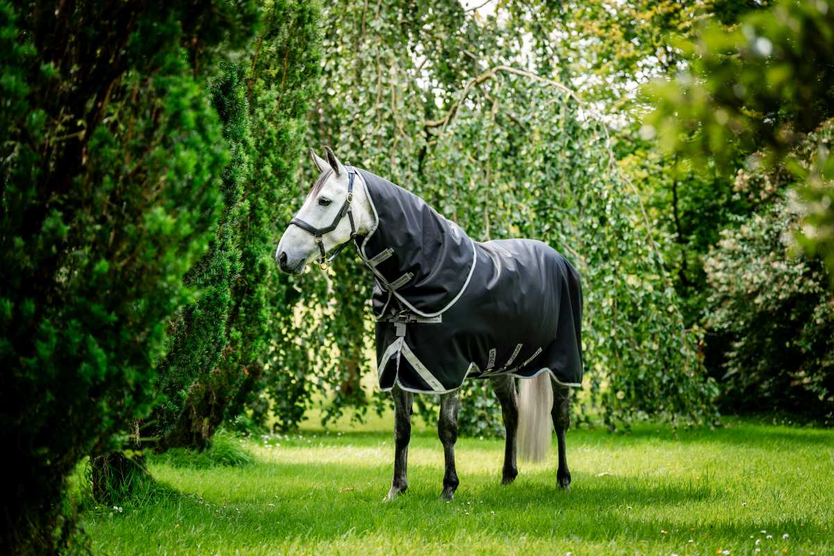 https://horse-and-rider.de/bilder/news/24/horseware_1_preview.jpg