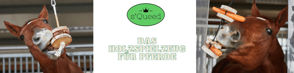 Squeed Holzspielzeug