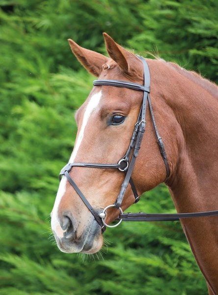 Shires AVIEMORE MEXICAN BRIDLE