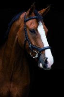 Horseware Rambo Micklem Deluxe Competition Trense