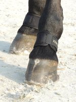 Kentucky Horsewear Fesselschutz Schwarz paar