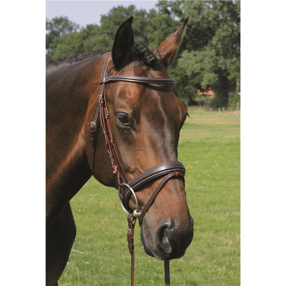 Hans Melzer Trense Rüspel braun/messing englisches Reithalfter Pony Hans Melzer Trense Rüspel braun/messing englisches Reithalfter Pony