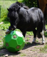 USG Spiel- & Fütterungsball Happy Hay Play - Shetty