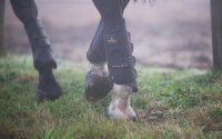 Kentucky Horsewear Gel&auml;ndegamaschen Eventing Boots Air Tech Hind schwarz