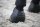 Kentucky Horsewear Overreach Boots Gel&auml;nde Hufglocken Air Tech Black