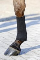 Kentucky Horsewear Tendon Grip Bandagenstrumpf Gel Schwarz