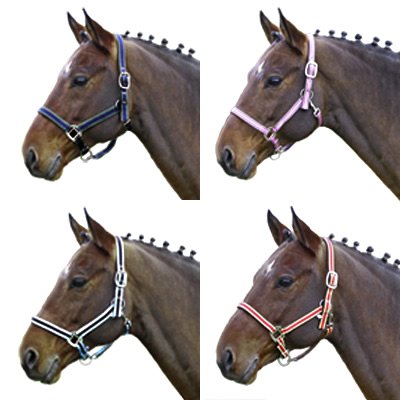 Euroriding Halfter Comfort Nylon, Unterlegt Pink – Weiss – braun Pony
