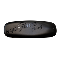 St&uuml;bben EquiSense Motion S Sensor mit Gurthalterung