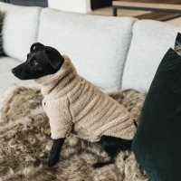 Kentucky Dogwear Hunde Pullover Teddy Fleece beige