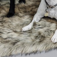 Kentucky Dogwear Dog Bed To Go Blanket Fuzzy brown