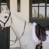 Kentucky Horsewear Schabracke Fishbone white
