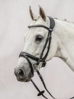 Rental fee for PS of Sweden snaffle Jump Off FULL