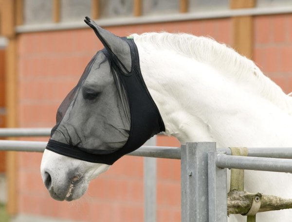 USG Fly mask with ear protector black Spandex Pony