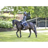 LeMieux Reithose Young Rider PullOn Breeches Slate Grey