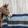 Kentucky Horsewear Abschwitzdecke Heavy Fleece rug square stripes 210x200cm navy/grau