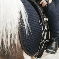 Kentucky Horsewear Sattelpad color edition leather jumping navy