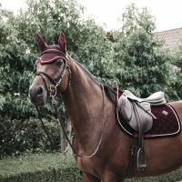 Kentucky Horsewear Sattelpad corduroy show bordeaux