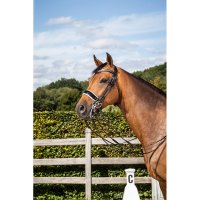Dyon dressage collection Rundgenähte Kandare mit...