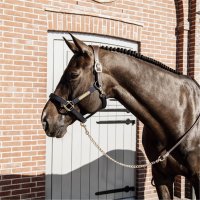 Kentucky Horsewear Leather chain lead brown 270 cm