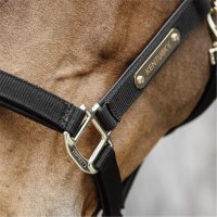 Kentucky Horsewear Nylon anatomic halter black