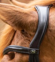 Premier Equine Trense Glorioso mexikanisches Reithalfter braun XFull