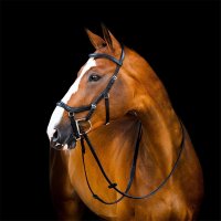 Horseware Micklem II Deluxe Competition Bridle Trense Black