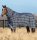 Horseware Rhino Plus Turnout 0g Lite Navy Check/Indigo
