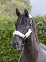 LeMieux Comfort Headcollar Natural