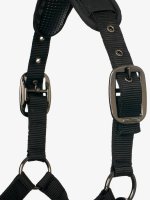 LeMieux ProSafe Headcollar Black