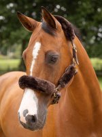 LeMieux Simuwool Headcollar Set Brown