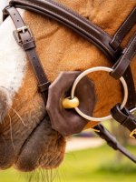 LeMieux Contoured Rubber Bit Guards Brown