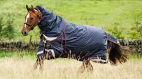 LeMieux Kudos Thermo Layer Turnout Rug 300g Navy