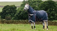 LeMieux Kudos Turnout Rug 50g Navy