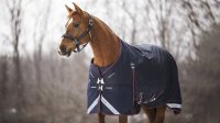 LeMieux Kudos Turnout Rug 350g Navy