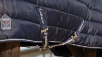 LeMieux Arika Stable-Tek 100g