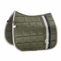 Eskadron  Schabracke Big Square Mattgloss dusty olive