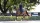 LeMieux Fiinesse Dressage Square Navy